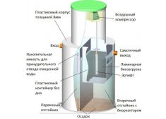 Панда Кинг 25